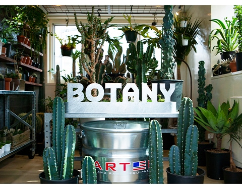 BOTANY