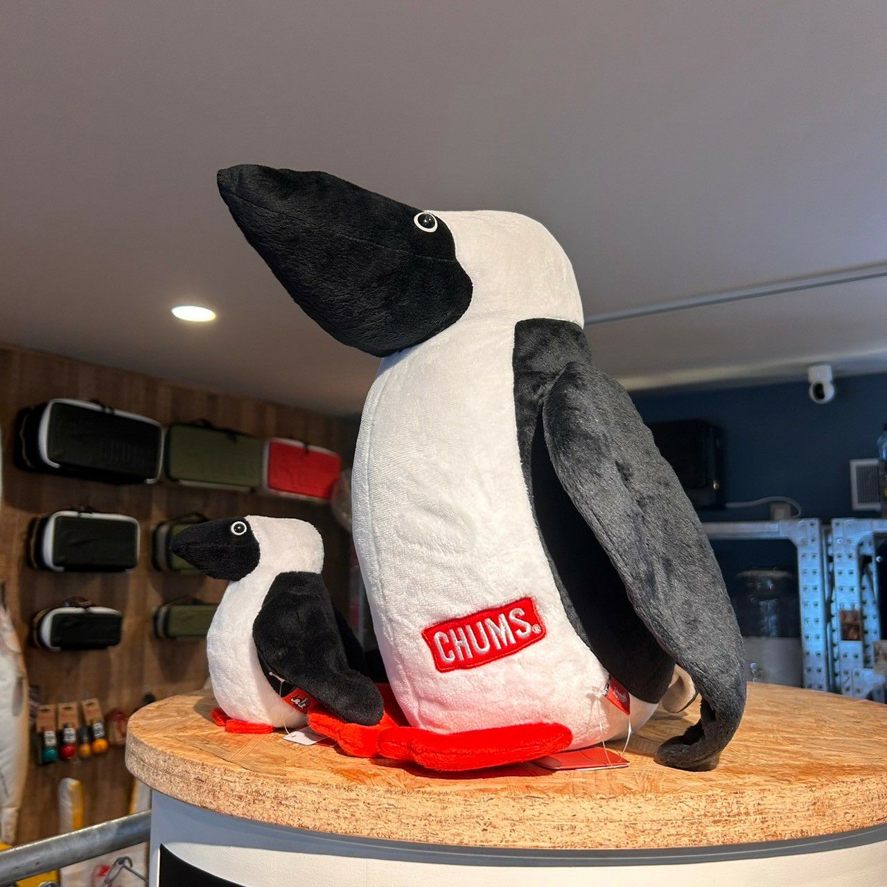 CHUMS（チャムス）インテリア雑貨・小物｜ブービードール