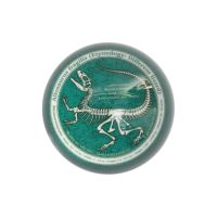 DULTON > グラス ペーパー ウェイト 【GLOW ALLOSAURUS】