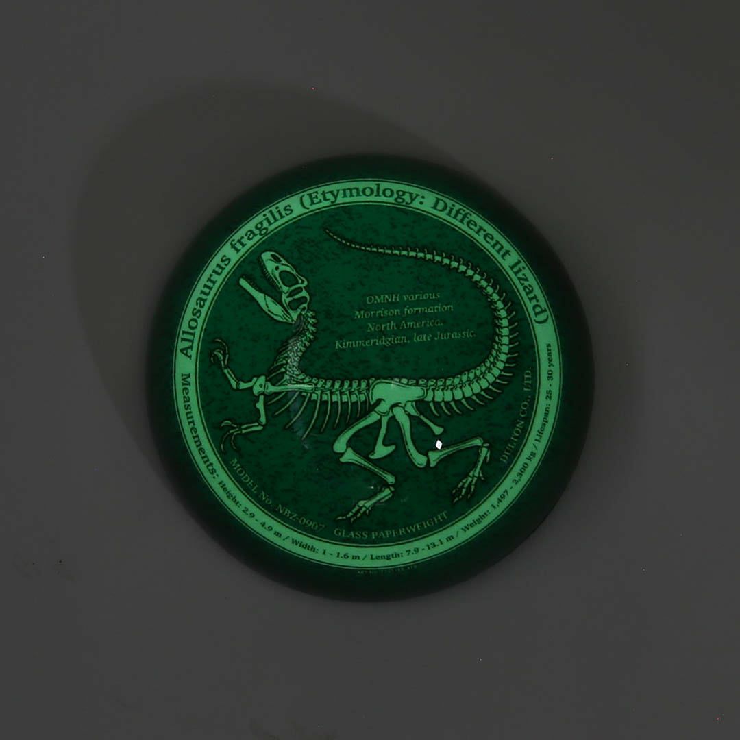 DULTON > グラス ペーパー ウェイト 【GLOW ALLOSAURUS】