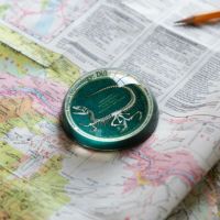 DULTON > グラス ペーパー ウェイト 【GLOW ALLOSAURUS】